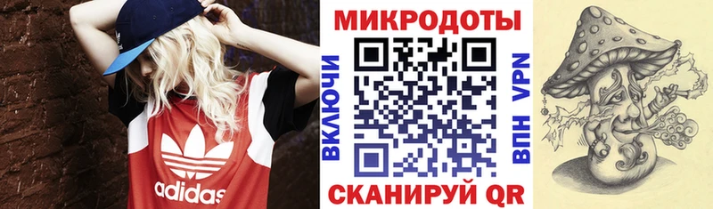 Псилоцибиновые грибы прущие грибы  Купить где  Берёзовка 